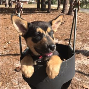 Meet your Posher, Anthony